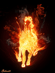 pic for Fire horse